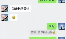 潍坊爆料聊天记录事件视频,视频揭露惊人内幕